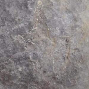 Grallator variabilis (LAPPARENT & MONTENAT)