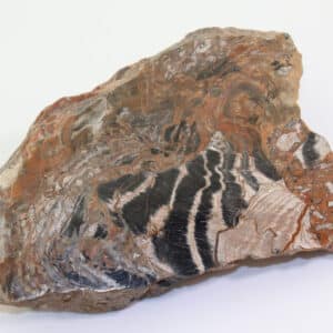 Stromatolithe