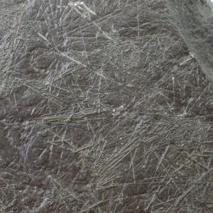 Diademopsis crinifera (QUENSTEDT)